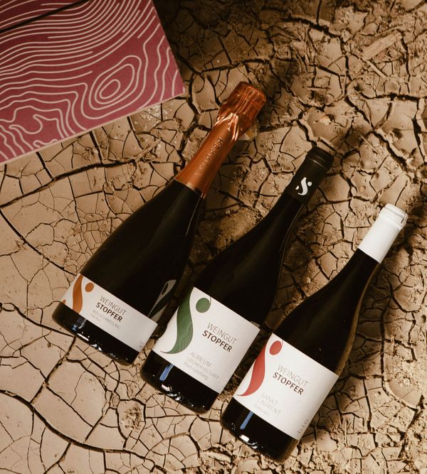 Wine packaging and a selection of wines from our partner Stopfer, a winery in the Weinviertel