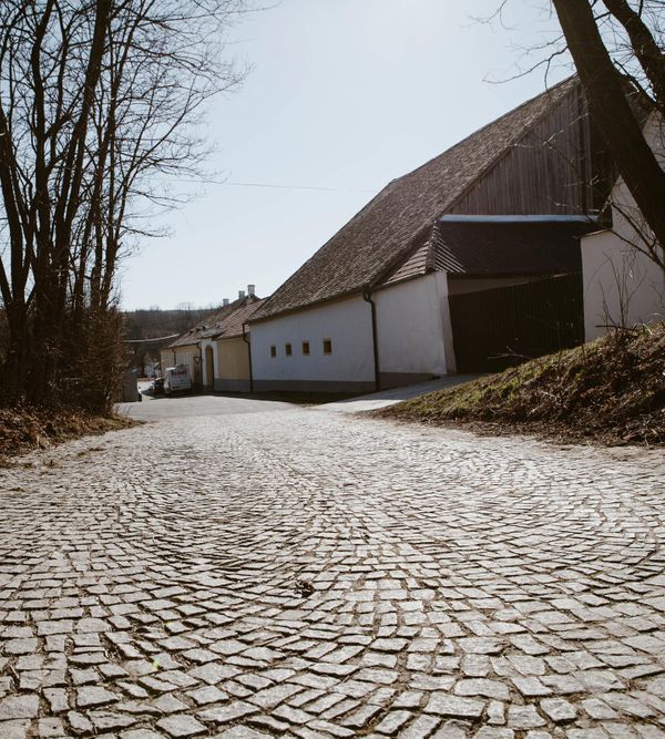 A cobbled alley, some old wine cellars, trees and nature: Gaindorf in the wine disctrict invites you to take a walk through the nearby alley 